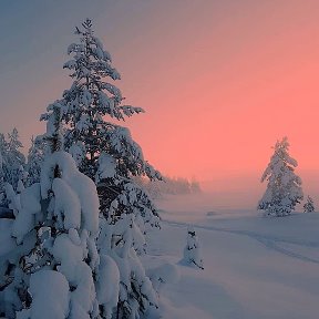 Фотография от Андрей Б