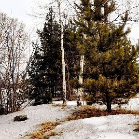 Фотография от Городской парк Мариинска