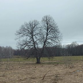 Фотография от Радмир Муфтахитдинов