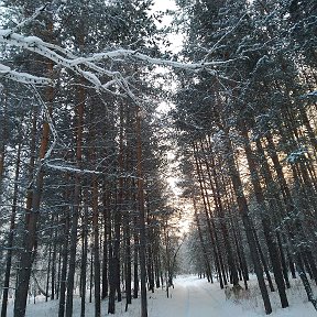 Фотография от Елена Григорьева