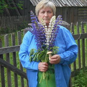 Фотография от галина шахова