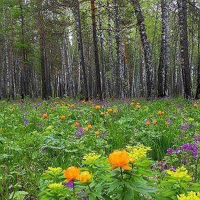 Фотография от Александр Тугов