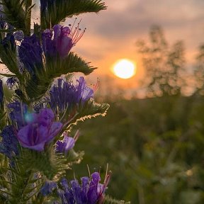 Фотография от Галина Погребная (Дороженко)