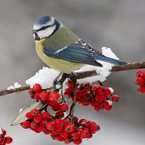 Фотография от женя кондратьев