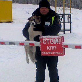 Фотография от Николай Батурин