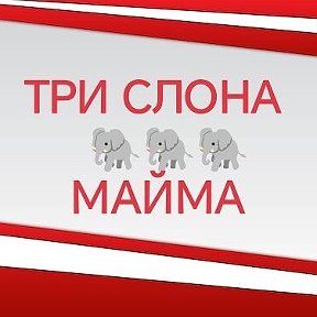 Фотография от 🐘ТРИ СЛОНА🐘 МАЙМА🐘