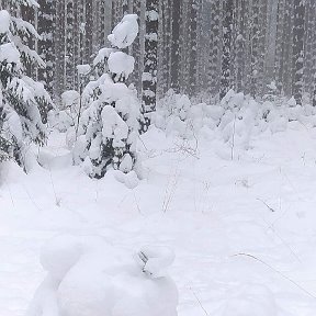 Фотография от наталия пискунова(турецкая)