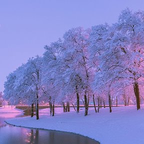 Фотография от Виктория Новикова