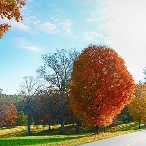 Фотография от Любовь Берсенева