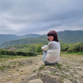Фотография "Мацеста, чайные плантации "