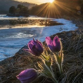 Фотография от Сергей Александрович