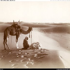 Фотография от Александр Тягловский