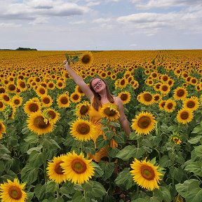 Фотография "Sunflower 🌻💛"