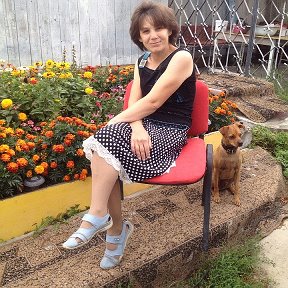 Фотография "мой дворик, лето 2014, с Чайзиком"