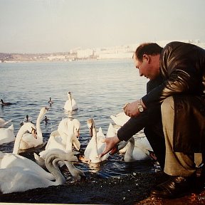 Фотография "Севастополь, черное море."