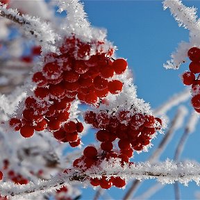 Фотография от Ольга Винокурова (Фофонова)