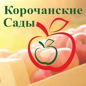 Фотография от КОРОЧАНСКИЕ САДЫ