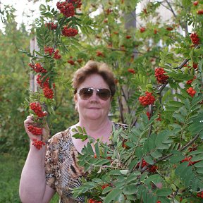 Фотография от ТАТЬЯНА СОКОЛОВА