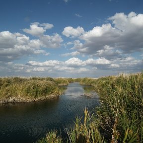 Фотография от брижанов дмитрий