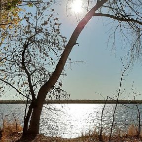 Фотография от Людмила Васильевна