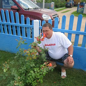 Фотография "Аромат белорусской розы"