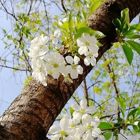 Фотография от галина филимонова-медведева