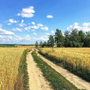 Фотография от Галина Лисьих