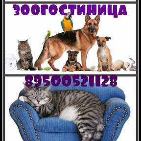 Фотография от ЗооГостиница ЗооНяня  89500521128