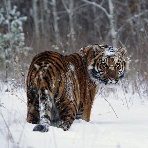 Фотография от ТАТЬЯНА НАЗАРОВА