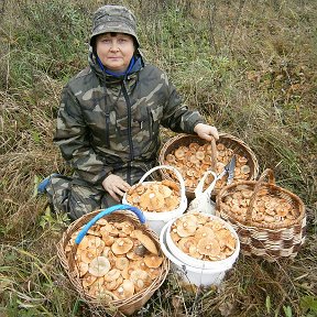 Фотография от Галина Юдинцева