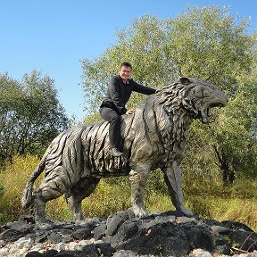 Фотография "Уссурийские тигры покорены"