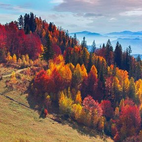 Фотография от Виктор Диков