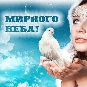 Фотография от Галина Щаюк (Алексеева)