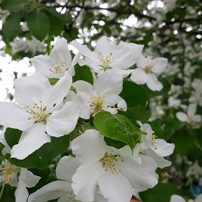 Фотография от Альбина Валиева(Сахаутдинова)