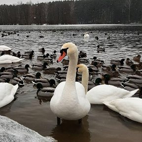 Фотография от Лариса Лагойская