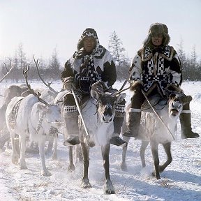 Фотография "Едем  в соседнее село на дискотеку!"