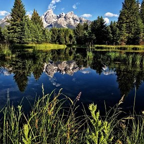 Фотография от Анна Селихова