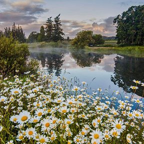 Фотография от Нина Грибовская -Сергеева