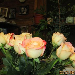 Фотография "Приятно в холодный  февраль получать такие  огромные красивые розы  в день рождения , 
  2  февраля  2020 г"