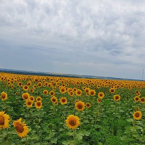 Фотография от Альонка 🌹