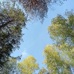 Фотография от Сергей Саламатин