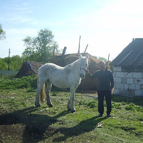 Фотография от Александр Савушкин