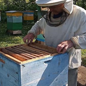 Фотография от Мёд Продукты Пчеловодства