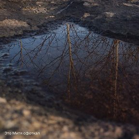 Фотография от Анастасия Чекасина (Лещева)