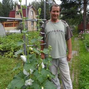 Фотография от Валерий Павленков