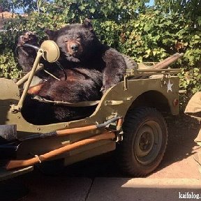 Фотография от Даниил Назаров