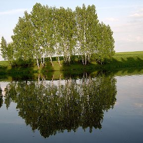 Фотография "Алексин- Авангардский пруд"