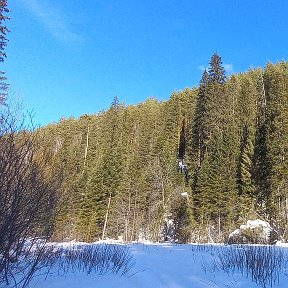 Фотография от Альбина Нургалеевна