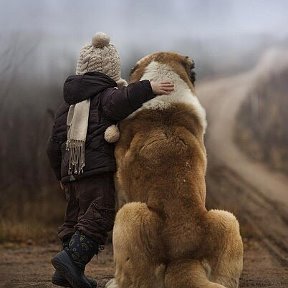 Фотография от Хайруллаев Нурали