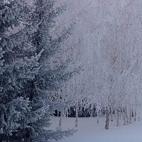 Фотография от Ольга Корыстова